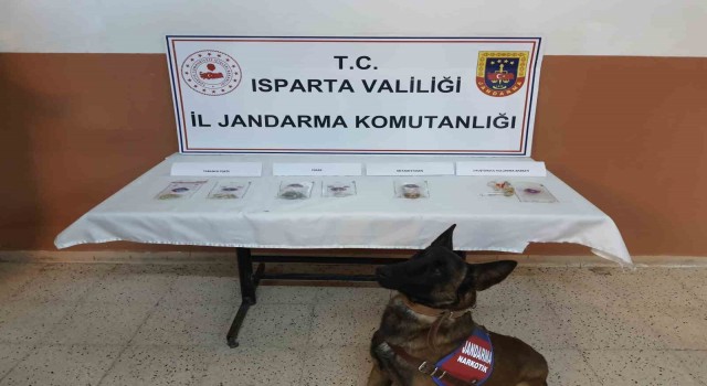 Isparta'da Jandarma ekiplerinden nefes kesen operasyonlar