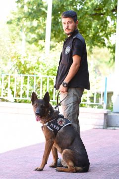 Hassas Burun Narkotik Dedektör köpeği "ODİN", Emniyette 9 yılını tamamladı